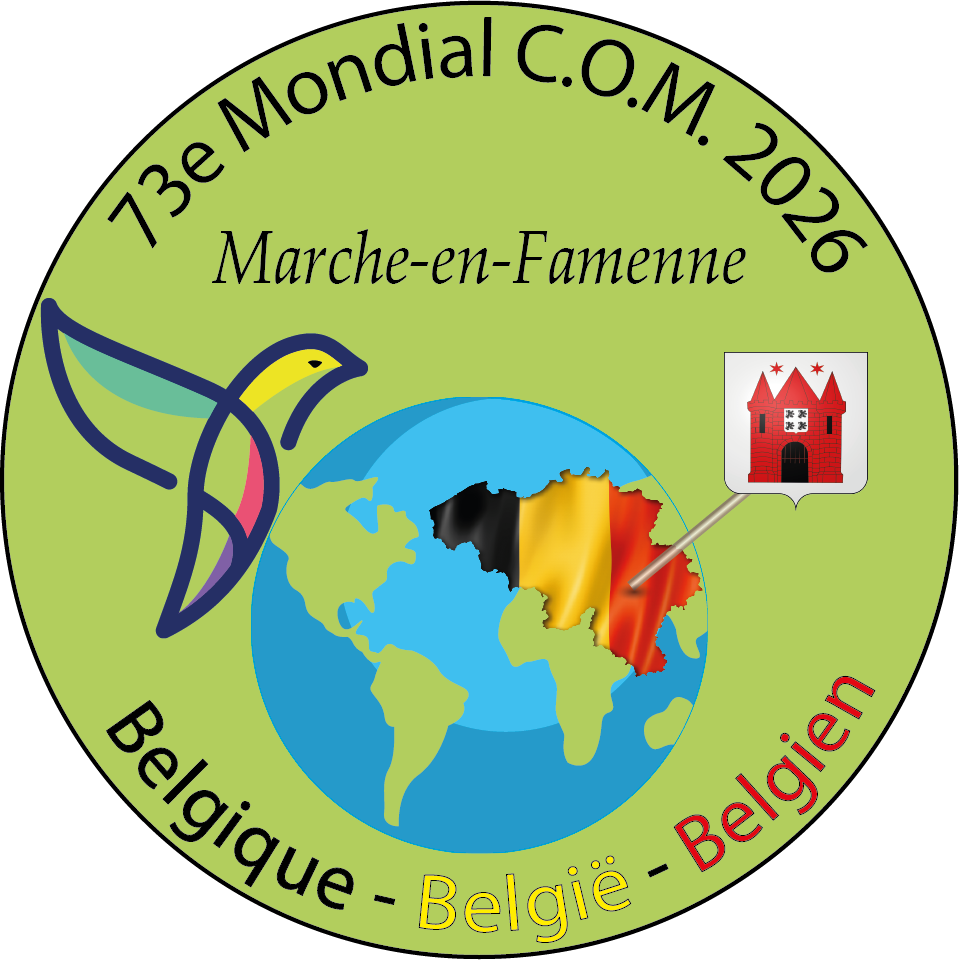 MONDIAL COM 2026 MARCHE EN FAMENNE. BELGIQUE